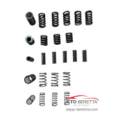 Комплект пружин DCT450 MPS6