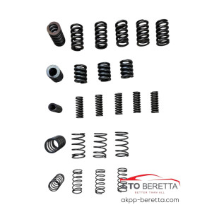 Комплект пружин DCT450 MPS6