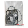Комплект прокладок A5HF1  T509600A