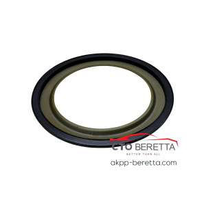 Поршень пакету C Brake 4HP16 B82531