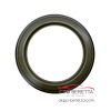 Поршень пакету C Brake 4HP16 B82531