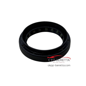 Сальник півосі DCT250 55/40/8*13 mm