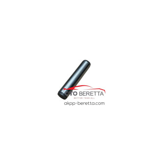 Вісь вилки перемикання передач (55 mm) DCT250