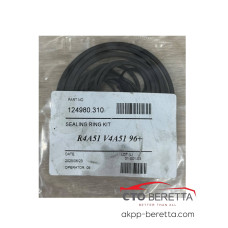 Комплект тефлоновых колец R4A51 V4A51