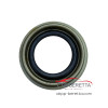 Сальник півосі 62*55/34/13 mm AW55-50SN AW55-51SN