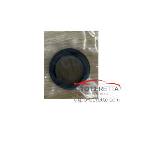 Заглушка масляного насоса 5HP24 5HP24A 0501314585