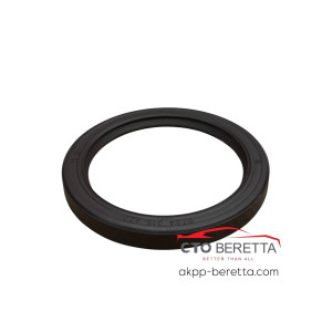 Сальник хвостовика 5HP24 5HP30 73/55/8 mm 0734319420  0750111243 24131422667 HT893030