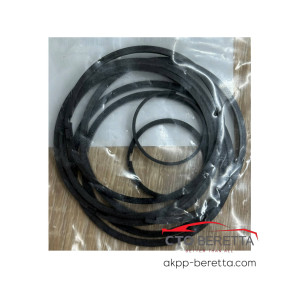 Комплект тефлонових кілець 5HP19 139980.110