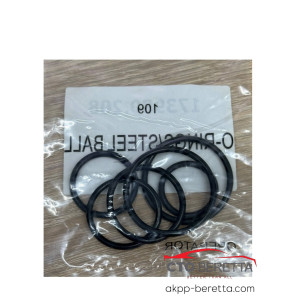 Комплект ущільнюючих кілець A760 A761 173980.208